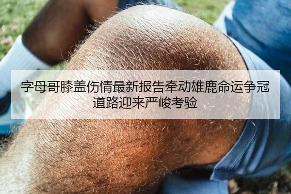 字母哥膝盖伤情最新报告牵动雄鹿命运争冠道路迎来严峻考验