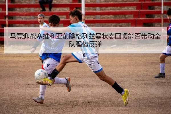 img_1782163154622_520_1_411.jpg